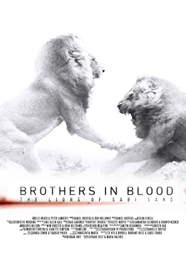Brothers in Blood: The Lions of Sabi Sand Watch Online