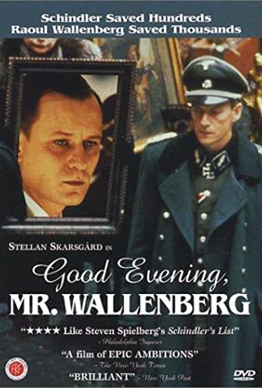 God afton, Herr Wallenberg Movie Watch Online