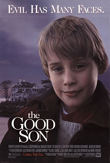 The Good Son Watch Online