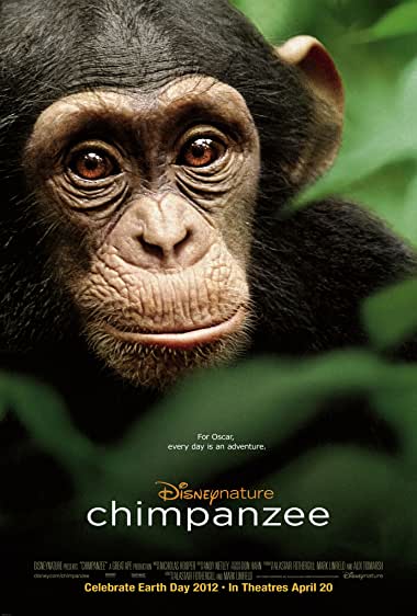 Chimpanzee Watch Online