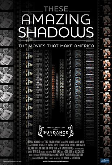 These Amazing Shadows Watch Online